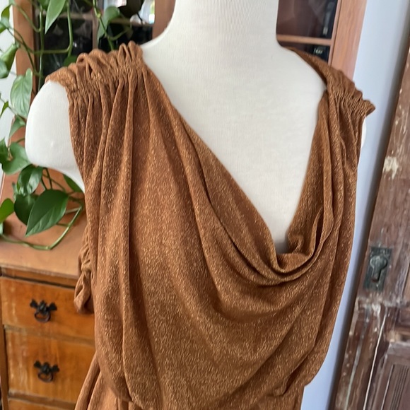 Elegant Brown Sleeveless Dress - Picture 2 of 5